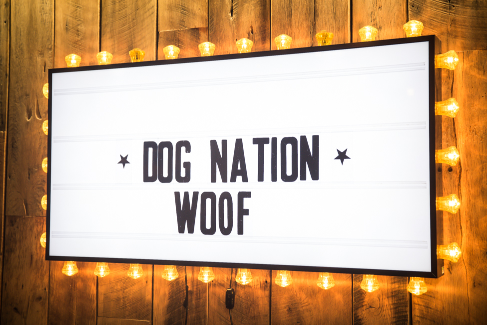 Dog Nation has officially launched