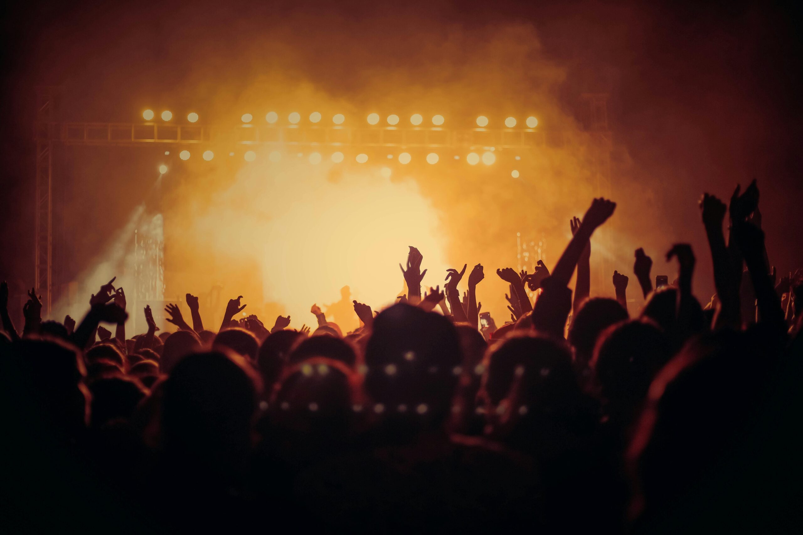 Live Music Crowd